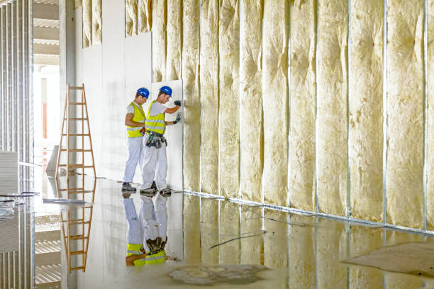 Best Insulation for Specific Applications in Morningside, MD